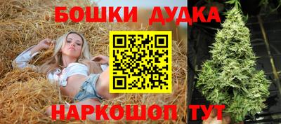 стафф Заволжье